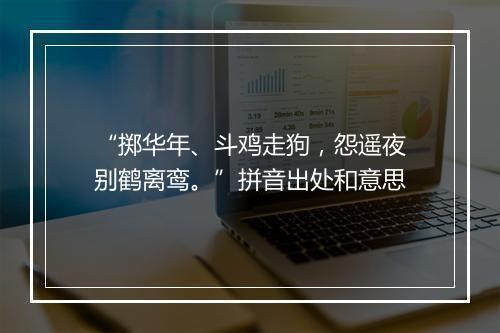 “掷华年、斗鸡走狗，怨遥夜别鹤离鸾。”拼音出处和意思