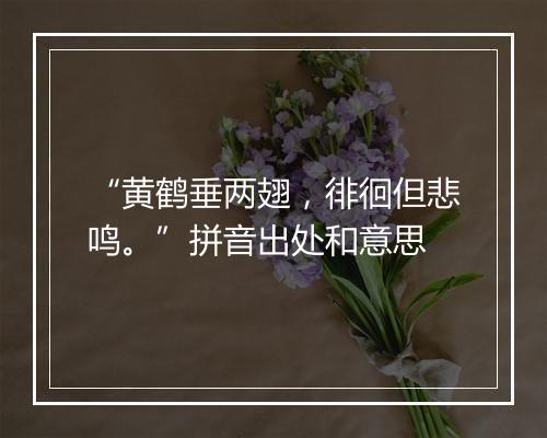 “黄鹤垂两翅，徘徊但悲鸣。”拼音出处和意思