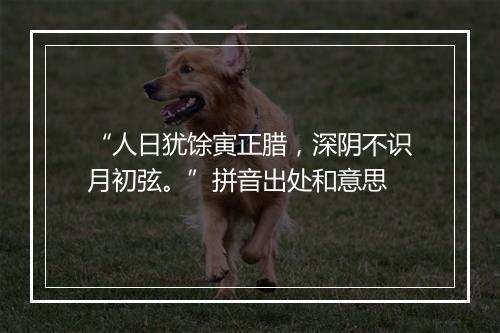 “人日犹馀寅正腊，深阴不识月初弦。”拼音出处和意思