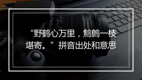 “野鹤心万里，鹪鹩一枝堪寄。”拼音出处和意思