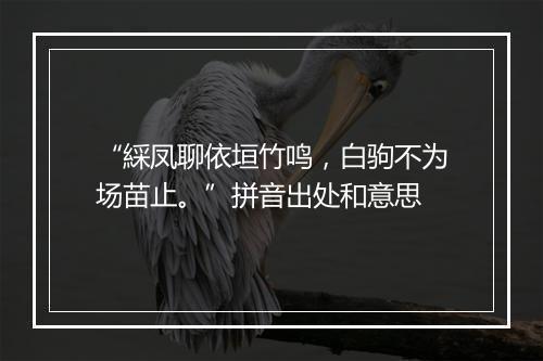 “綵凤聊依垣竹鸣，白驹不为场苗止。”拼音出处和意思