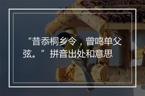 “昔忝桐乡令，曾鸣单父弦。”拼音出处和意思