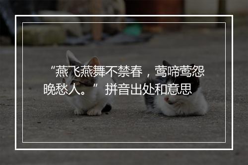 “燕飞燕舞不禁春，莺啼莺怨晚愁人。”拼音出处和意思