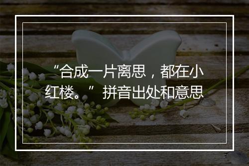 “合成一片离思，都在小红楼。”拼音出处和意思