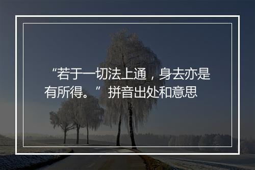 “若于一切法上通，身去亦是有所得。”拼音出处和意思