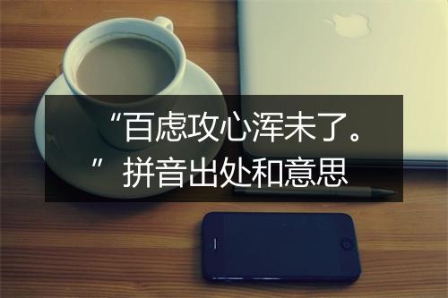 “百虑攻心浑未了。”拼音出处和意思