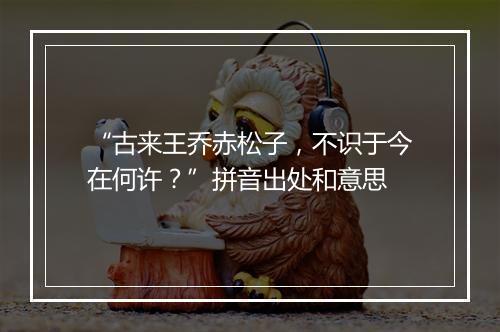 “古来王乔赤松子，不识于今在何许？”拼音出处和意思