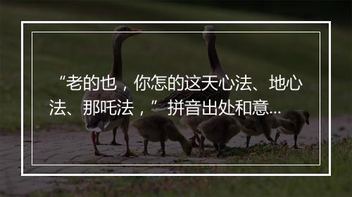 “老的也，你怎的这天心法、地心法、那吒法，”拼音出处和意思