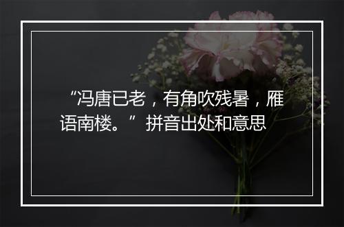 “冯唐已老，有角吹残暑，雁语南楼。”拼音出处和意思