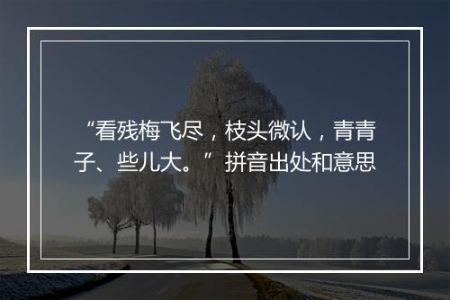 “看残梅飞尽，枝头微认，青青子、些儿大。”拼音出处和意思