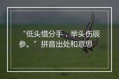 “低头惜分手，举头伤辰参。”拼音出处和意思