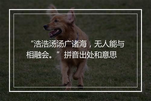 “浩浩汤汤广诸海，无人能与相融会。”拼音出处和意思