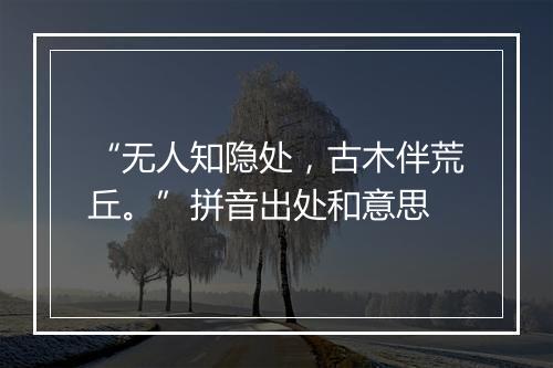 “无人知隐处，古木伴荒丘。”拼音出处和意思