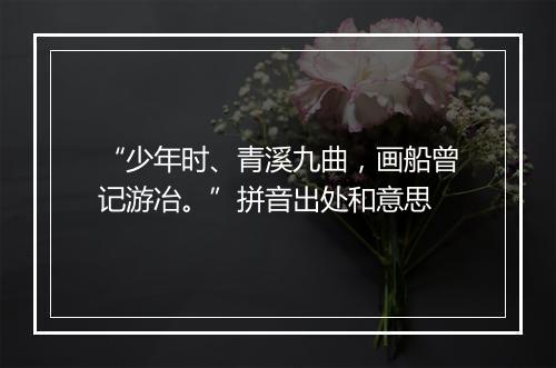 “少年时、青溪九曲，画船曾记游冶。”拼音出处和意思