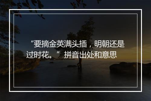 “要摘金英满头插，明朝还是过时花。”拼音出处和意思