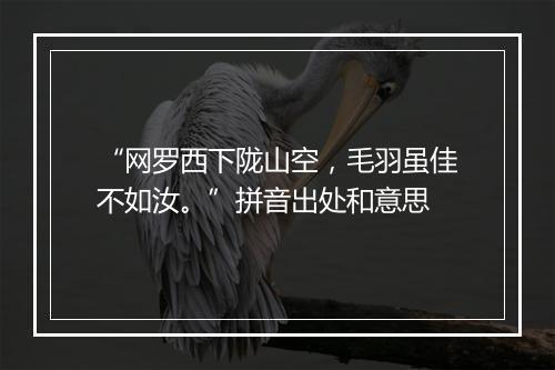 “网罗西下陇山空，毛羽虽佳不如汝。”拼音出处和意思