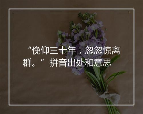 “俛仰三十年，忽忽惊离群。”拼音出处和意思