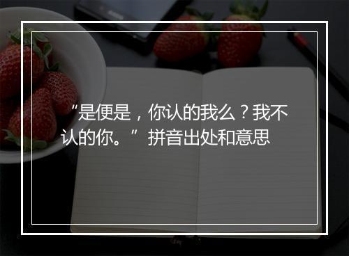 “是便是，你认的我么？我不认的你。”拼音出处和意思