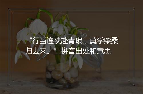 “行当连袂赴青琐，莫学柴桑归去来。”拼音出处和意思