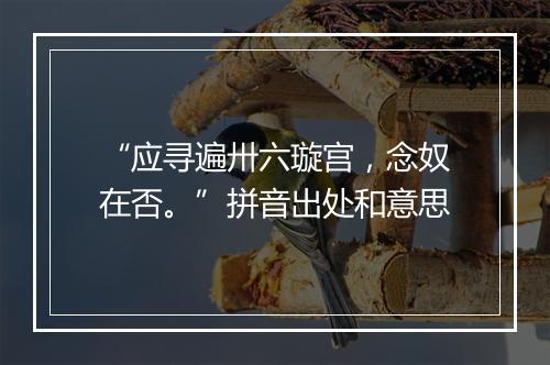 “应寻遍卅六璇宫，念奴在否。”拼音出处和意思