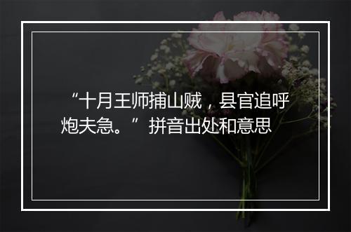 “十月王师捕山贼，县官追呼炮夫急。”拼音出处和意思