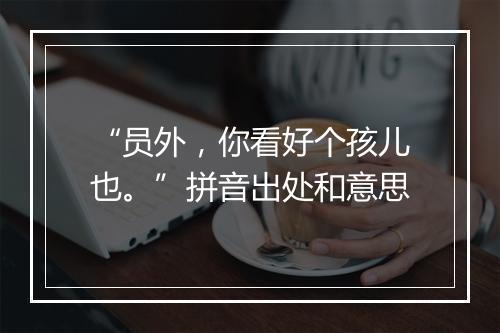 “员外，你看好个孩儿也。”拼音出处和意思