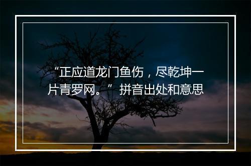 “正应道龙门鱼伤，尽乾坤一片青罗网。”拼音出处和意思