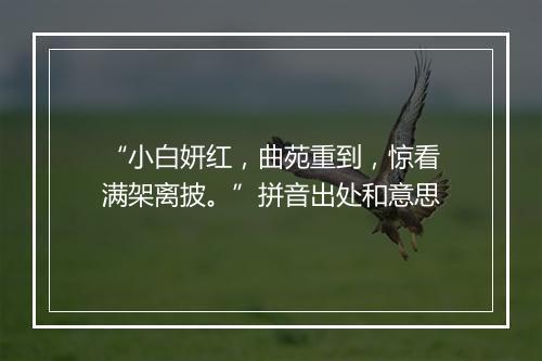 “小白妍红，曲苑重到，惊看满架离披。”拼音出处和意思