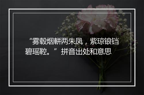 “雾毂烟軿两朱凤，紫琼锒铛碧瑶鞚。”拼音出处和意思