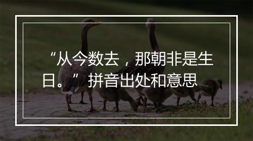 “从今数去，那朝非是生日。”拼音出处和意思