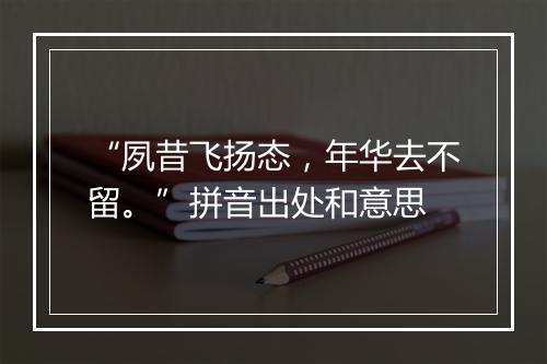 “夙昔飞扬态，年华去不留。”拼音出处和意思