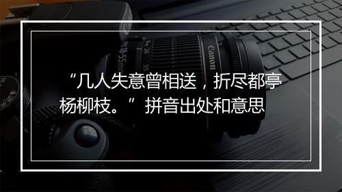 “几人失意曾相送，折尽都亭杨柳枝。”拼音出处和意思