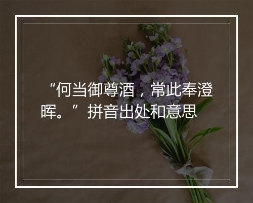 “何当御尊酒，常此奉澄晖。”拼音出处和意思