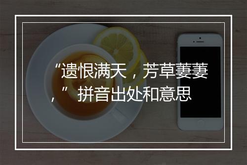 “遗恨满天，芳草萋萋，”拼音出处和意思