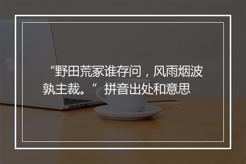 “野田荒冢谁存问，风雨烟波孰主裁。”拼音出处和意思