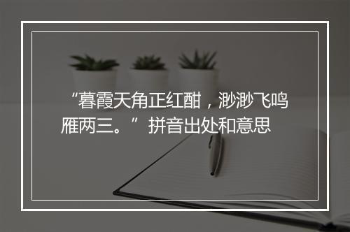 “暮霞天角正红酣，渺渺飞鸣雁两三。”拼音出处和意思