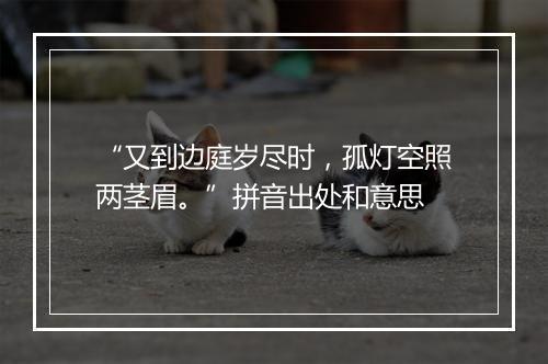 “又到边庭岁尽时，孤灯空照两茎眉。”拼音出处和意思