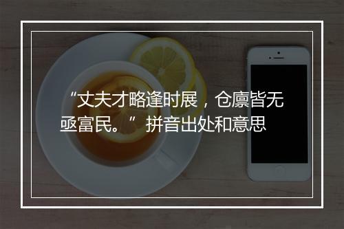 “丈夫才略逢时展，仓廪皆无亟富民。”拼音出处和意思