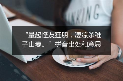 “量起怪友狂朋，凄凉杀稚子山妻。”拼音出处和意思