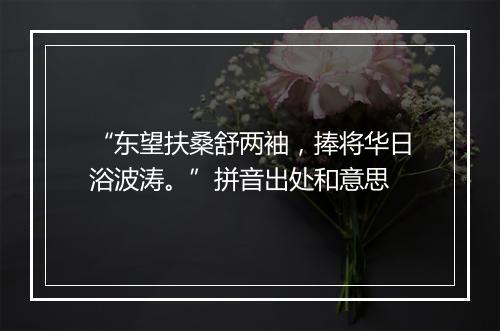 “东望扶桑舒两袖，捧将华日浴波涛。”拼音出处和意思