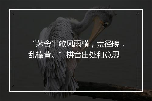 “茅舍半欹风雨横，荒径晚，乱榛菅。”拼音出处和意思