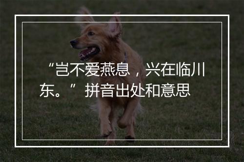 “岂不爱燕息，兴在临川东。”拼音出处和意思