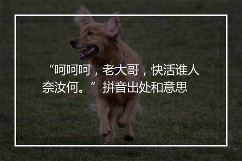 “呵呵呵，老大哥，快活谁人奈汝何。”拼音出处和意思