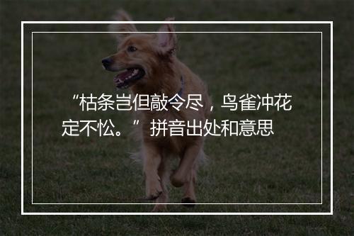 “枯条岂但敲令尽，鸟雀冲花定不忪。”拼音出处和意思