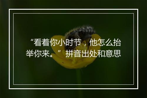 “看着你小时节，他怎么抬举你来。”拼音出处和意思