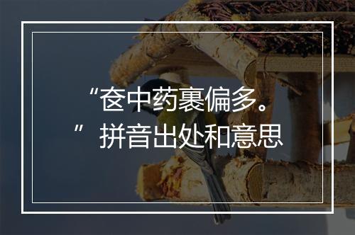 “奁中药裹偏多。”拼音出处和意思