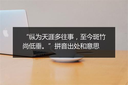 “纵为天涯多往事，至今斑竹尚低垂。”拼音出处和意思