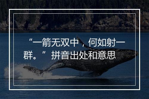 “一箭无双中，何如射一群。”拼音出处和意思