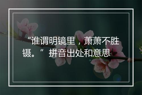 “谁谓明镜里，萧萧不胜镊。”拼音出处和意思