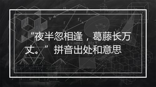 “夜半忽相逢，葛藤长万丈。”拼音出处和意思